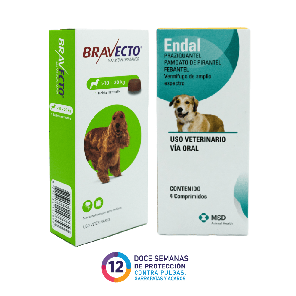 Antipulgas y Garrapatas Bravecto 12 Semanas + Antiparasitario Endal 10 - 20 kg