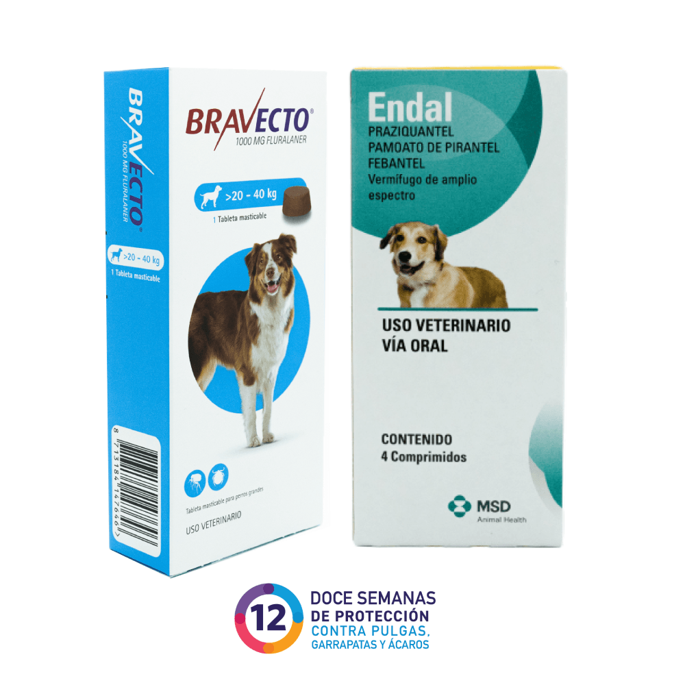 Antipulgas y Garrapatas Bravecto 12 Semanas + Antiparasitario Endal 20 - 40 kg