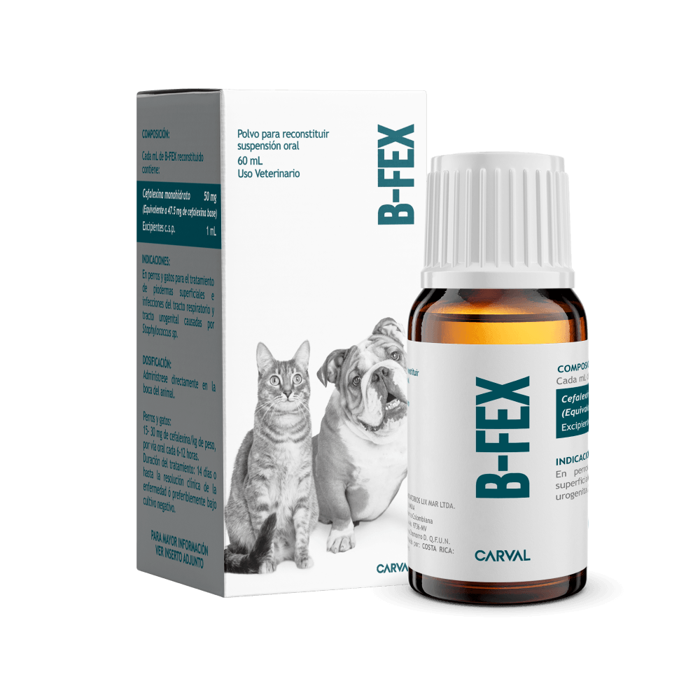 Antibiótico Para Perros y Gatos Carval B-FEX 60 ml