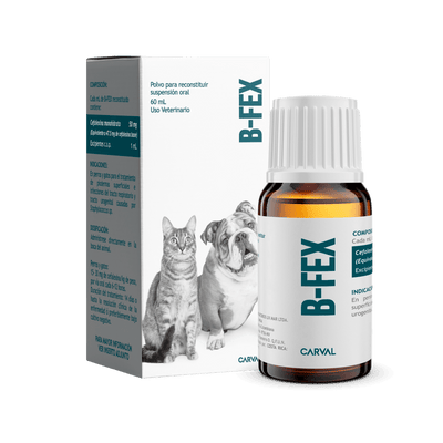 Antibiótico Para Perros y Gatos Carval B-FEX 60 ml