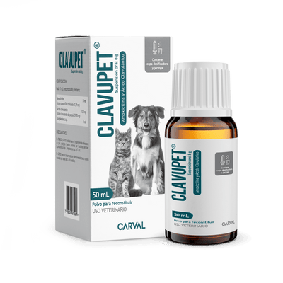 Medicamento Antibiótico Carval Para Mascotas Clavupet 50 ml