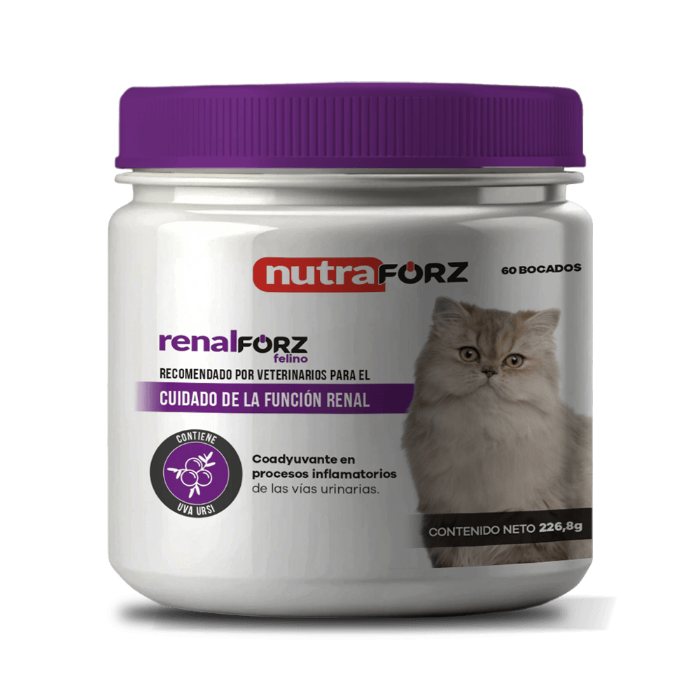 Suplemento renal Renalforz para gato Nutraforz 60 mast