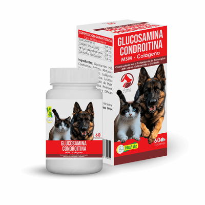 Suplemento articular para mascotas Glucosamina Condroitina Vital Vet 60 Tab.