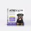 Antiparasitario oral para perro Atrevia one 20 - 40 kg - L