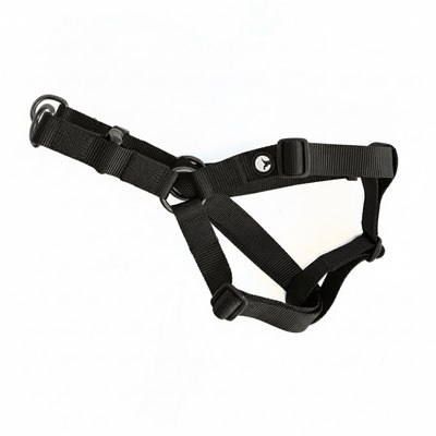 Arnés para Perro Puppis Nylon Negro 1 cm