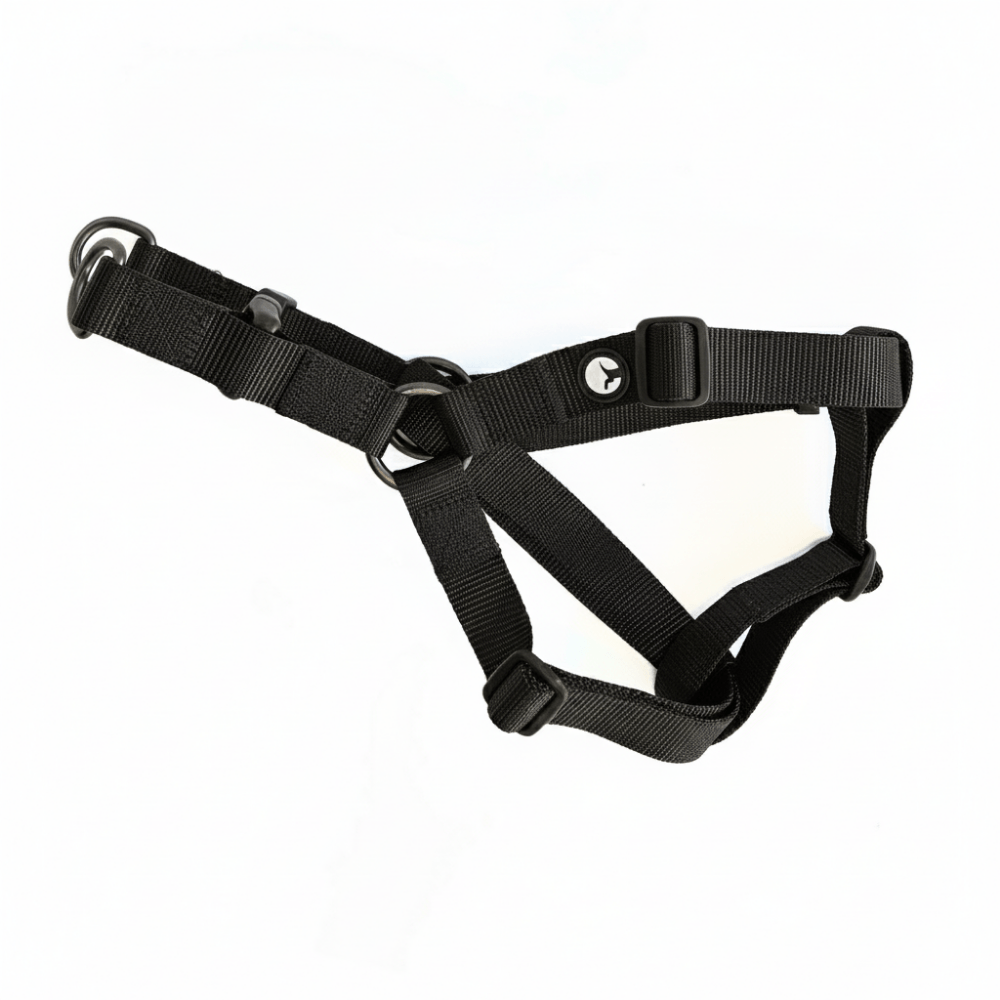 Arnés para Perro Puppis Nylon Negro 2 cm