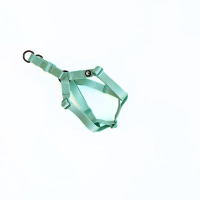 Arnés para Perro Puppis Nylon Aqua 1 cm