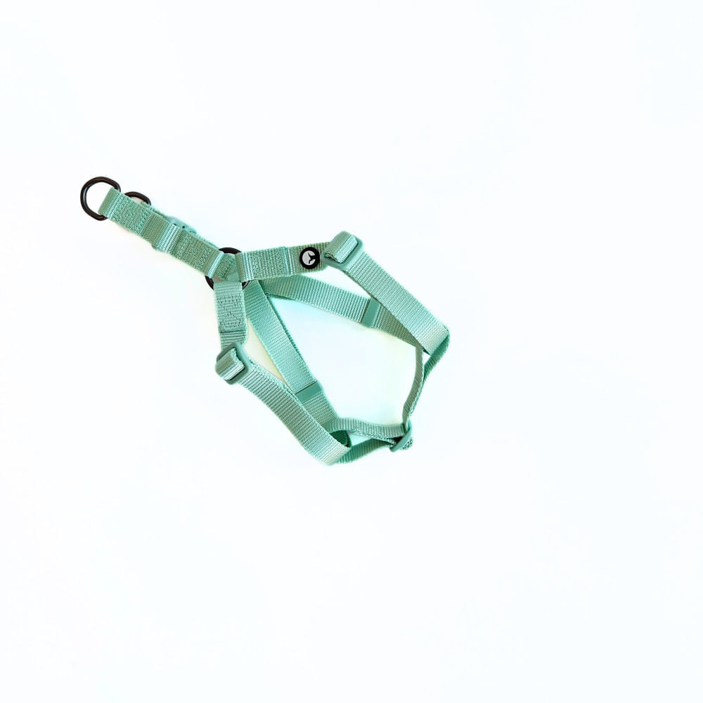 Arnés para Perro Puppis Nylon Aqua 1,5 cm