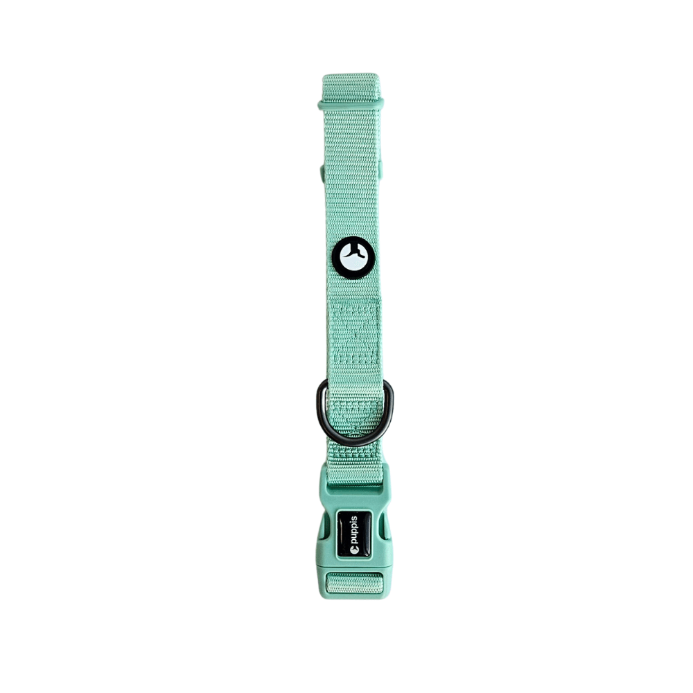 Collar para Perro Puppis Nylon Aqua S · 1,5 cm
