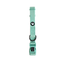 Collar para Perro Puppis Nylon Aqua 2 cm