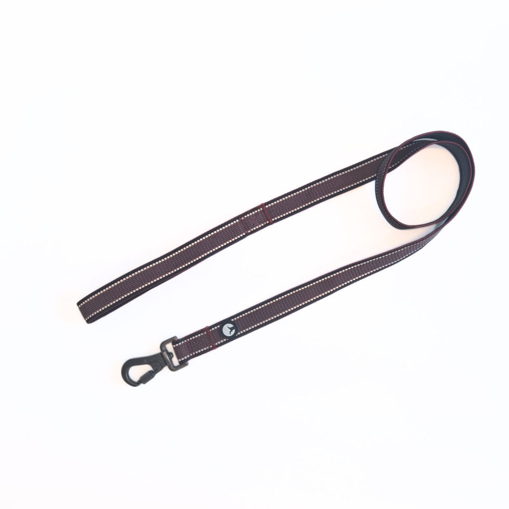 Correa Premium para Perro Puppis Nylon Rojo 2,5 x 120 cm