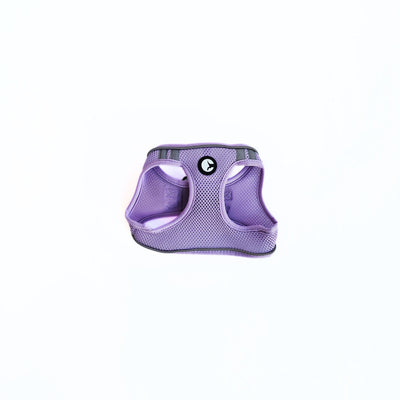 Arnés para Perro Puppis Mesh Acolchado Lila 1 cm