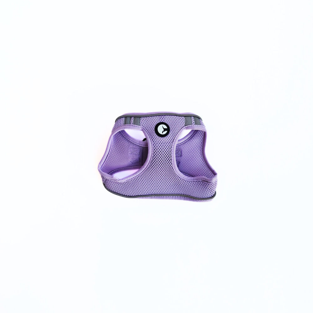 Arnés para Perro Puppis Mesh Acolchado Lila S · 1,5 cm