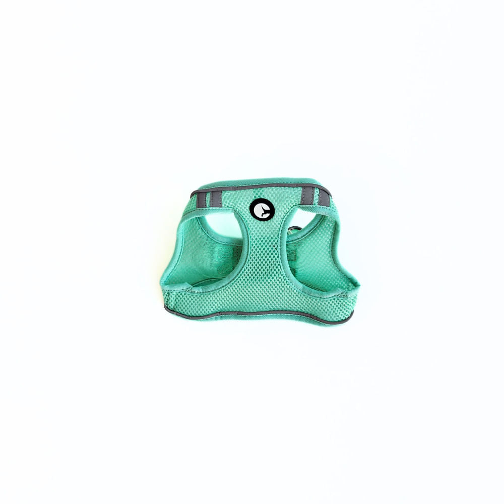 Arnés para Perro Puppis Mesh Acolchado Aqua XS · 1,5 cm