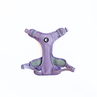 Arnés para Perro Puppis Pechera Lila M · 2,5 cm