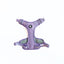Arnés para Perro Puppis Pechera Lila L · 2,5 cm