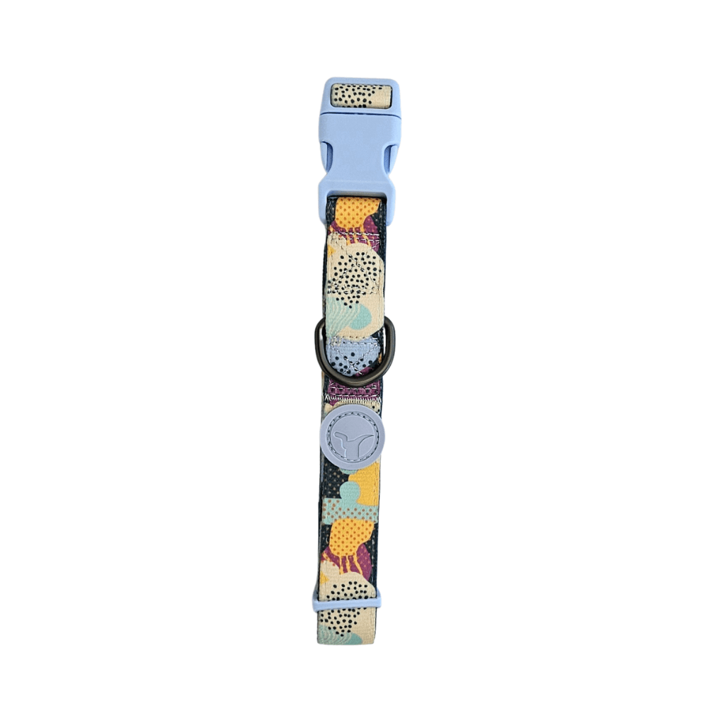 Collar para Perro Puppis Poly Rhythmania XS · 1,5 cm
