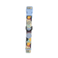 Collar para Perro Puppis Poly Rhythmania 2,5 cm