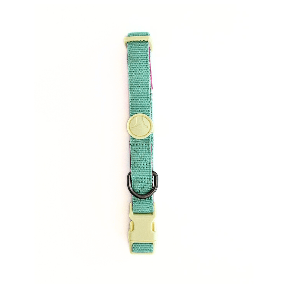 Collar para Perro Puppis Poly Magenta Muse 2 cm