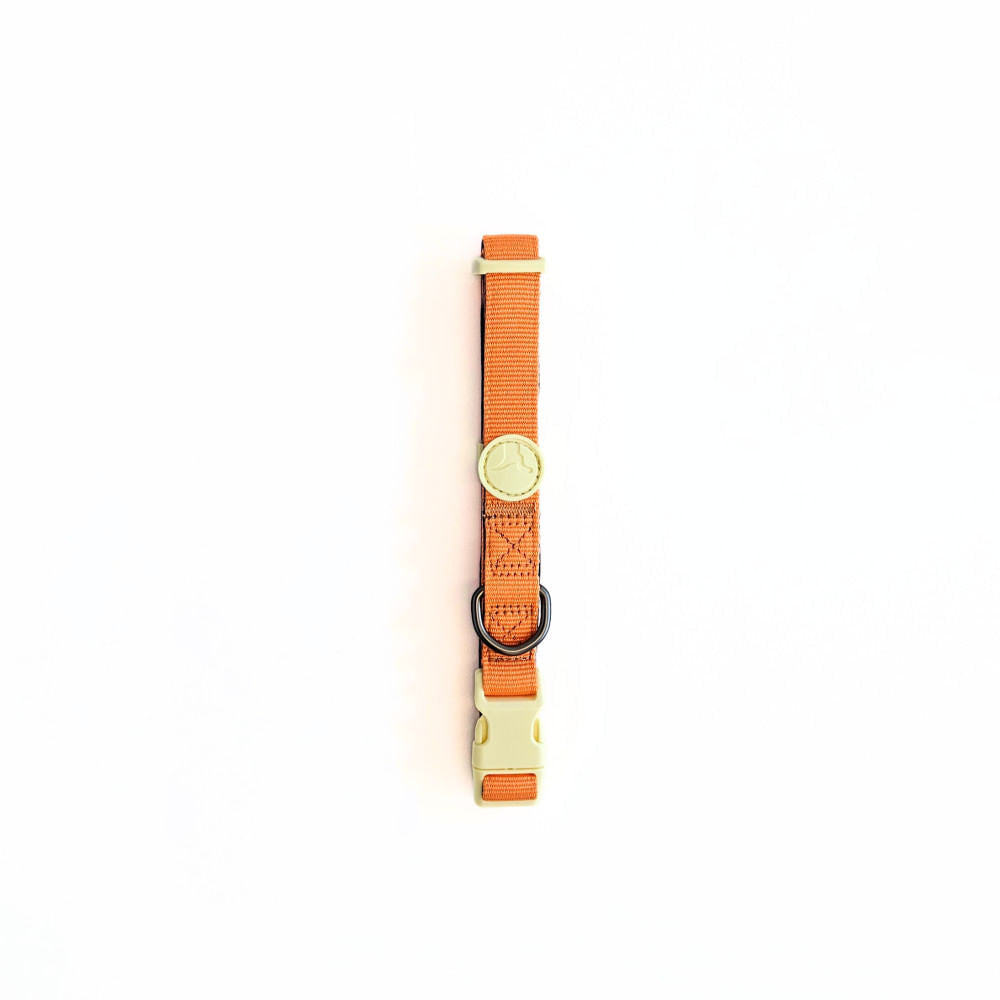 Collar para Perro Puppis Poly Teal Dominion 2,5 cm