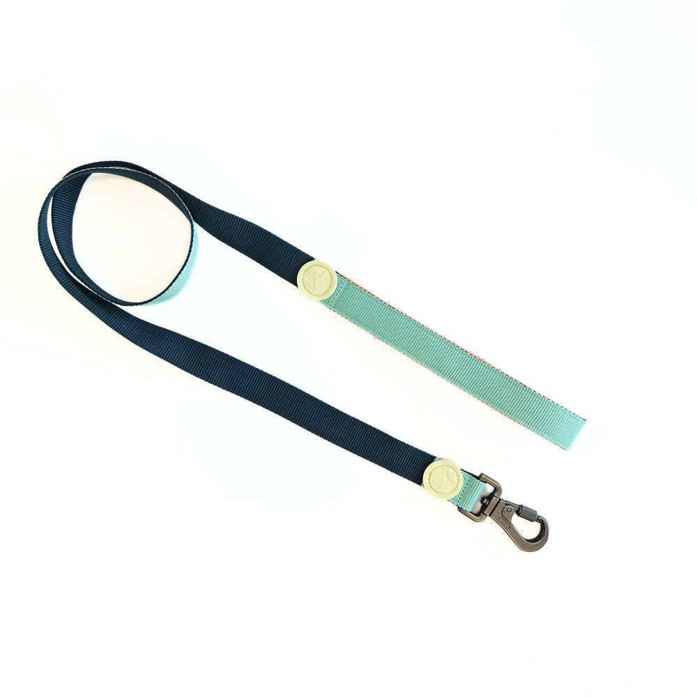 Correa para Perro Puppis Poly Teal Dominion 2,5 x 120 cm