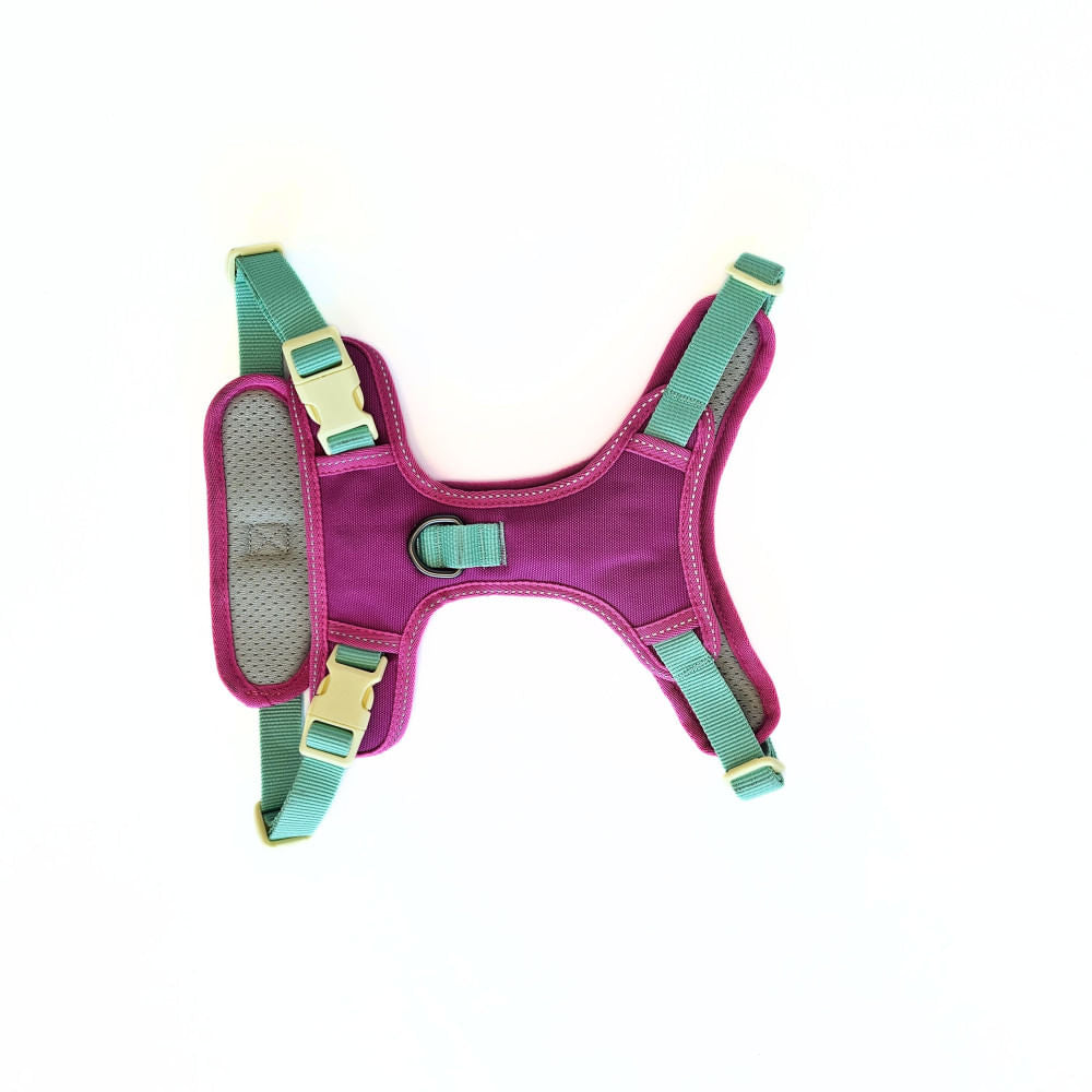Arnés para Perro Puppis Pechera Poly Magenta Muse 2 cm