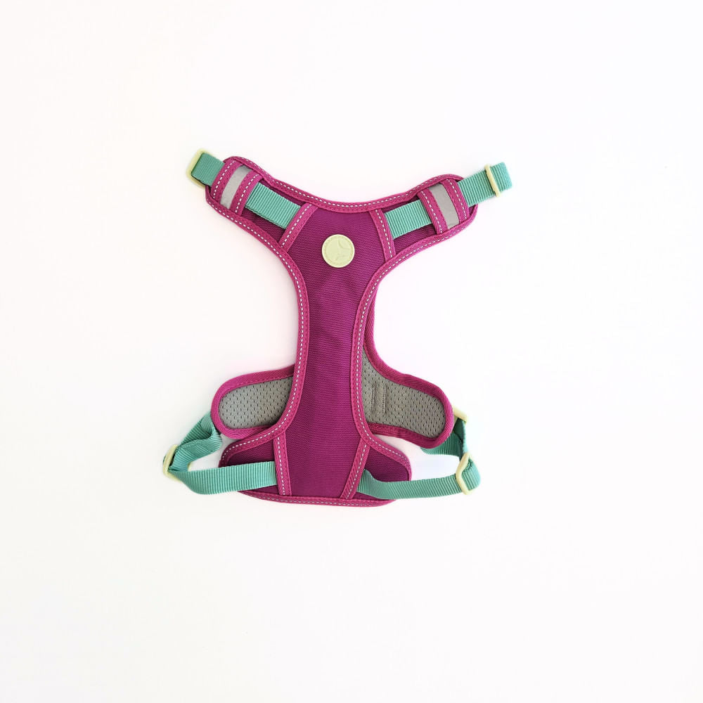 Arnés para Perro Puppis Pechera Poly Magenta Muse M · 2,5 cm