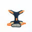 Arnés para Perro Puppis Pechera Poly Teal Dominion M · 2,5 cm
