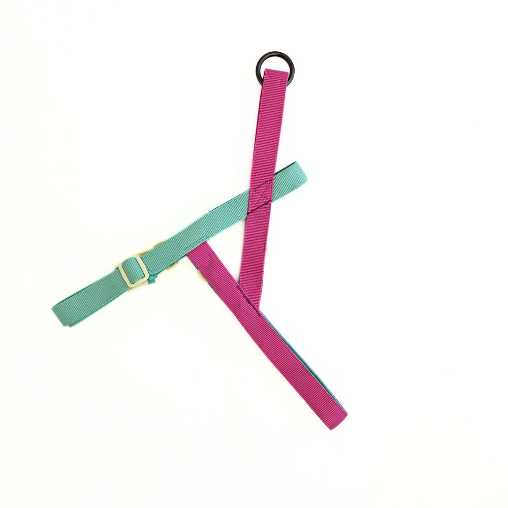Arnés para Perro Puppis Anti-tirón Magenta Muse 2,5 cm