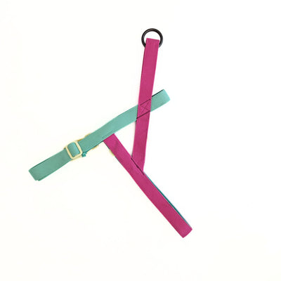 Arnés para Perro Puppis Anti-tirón Magenta Muse 2,5 cm