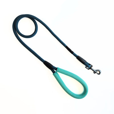 Correa Soga para Perro Puppis Teal Dominion 1,3 x 120 cm