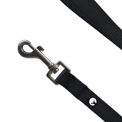 Correa Nylon para Perro Puppis Negra 2,5 cm x 10 m