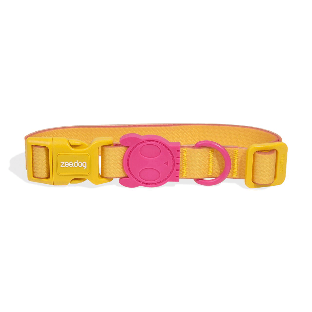 Collar Para Perro Zeedog Neopro Lyra L