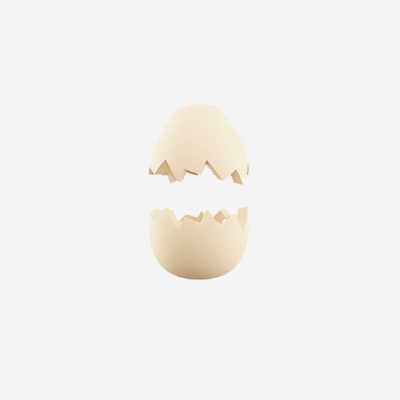Accesorio Zeedog Zee Pinz Egg Único