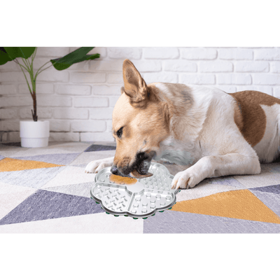 Lickmat de acero inoxidable para mascota AFP Único