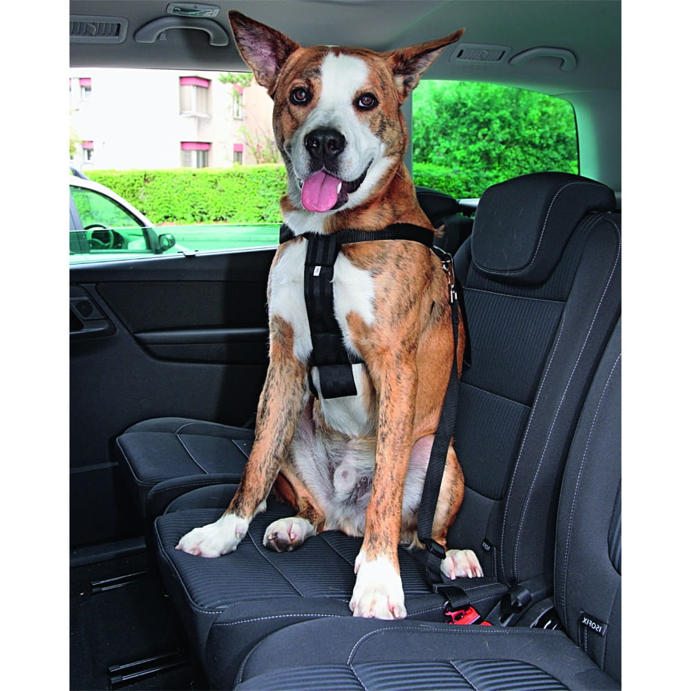 Cinturón de Seguridad Pawise para Mascotas M