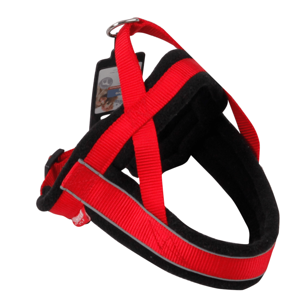 Arnés Pawise Reflectivo para Perro L