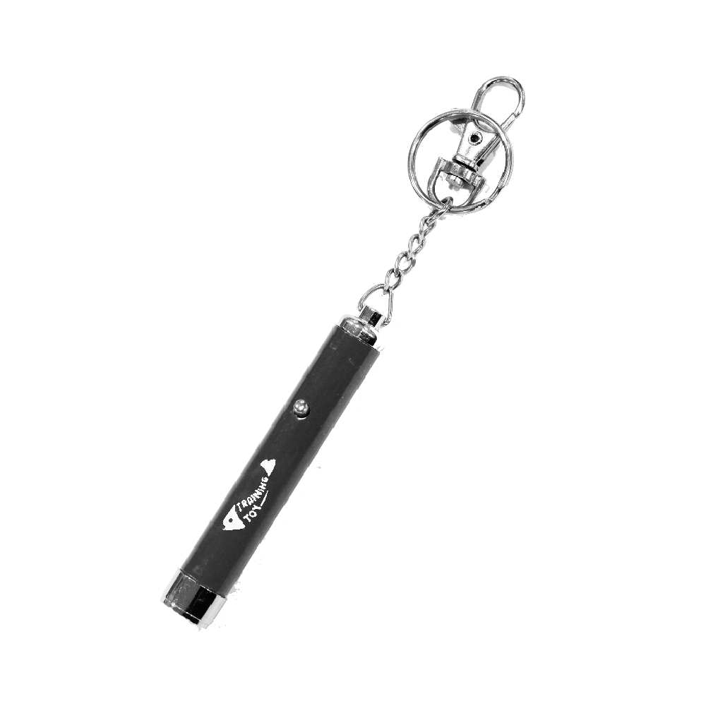 Juguete Para Gato Pawise Puntero Laser Negro Único