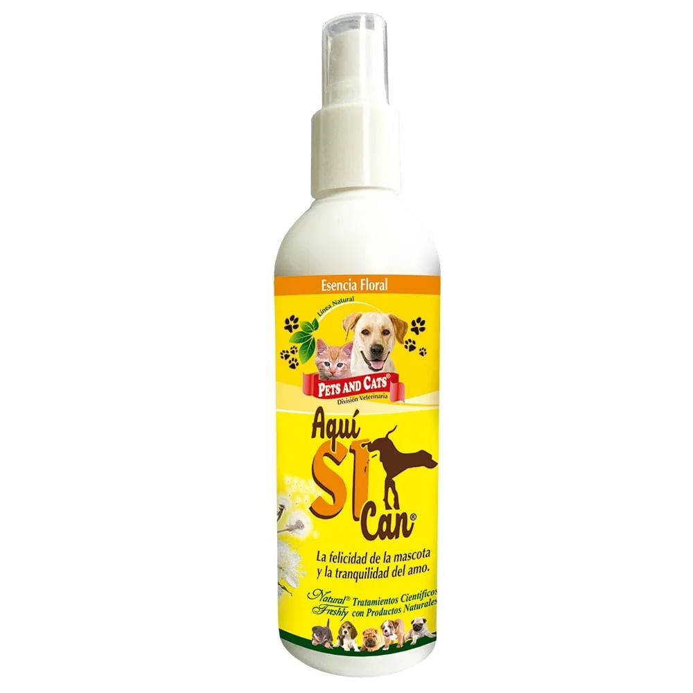 Esencia Floral "Aquí Si" Can En Spray 240 ml