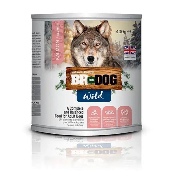 Br For Dog Wild Comida Húmeda Perros Adultos Salmón