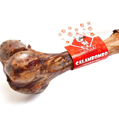 Femur A La Mitad 1 u