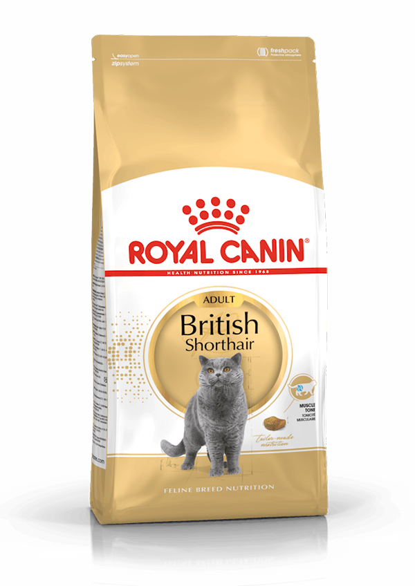 Royal Canin - British Shorthair Gato Adulto