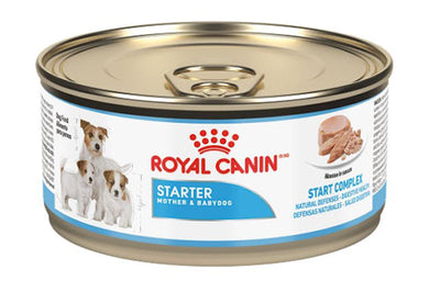 Royal Canin - Starter Mousse Lata