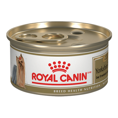 Royal Canin - Comida Húmeda Perros Yorkshire Terrier