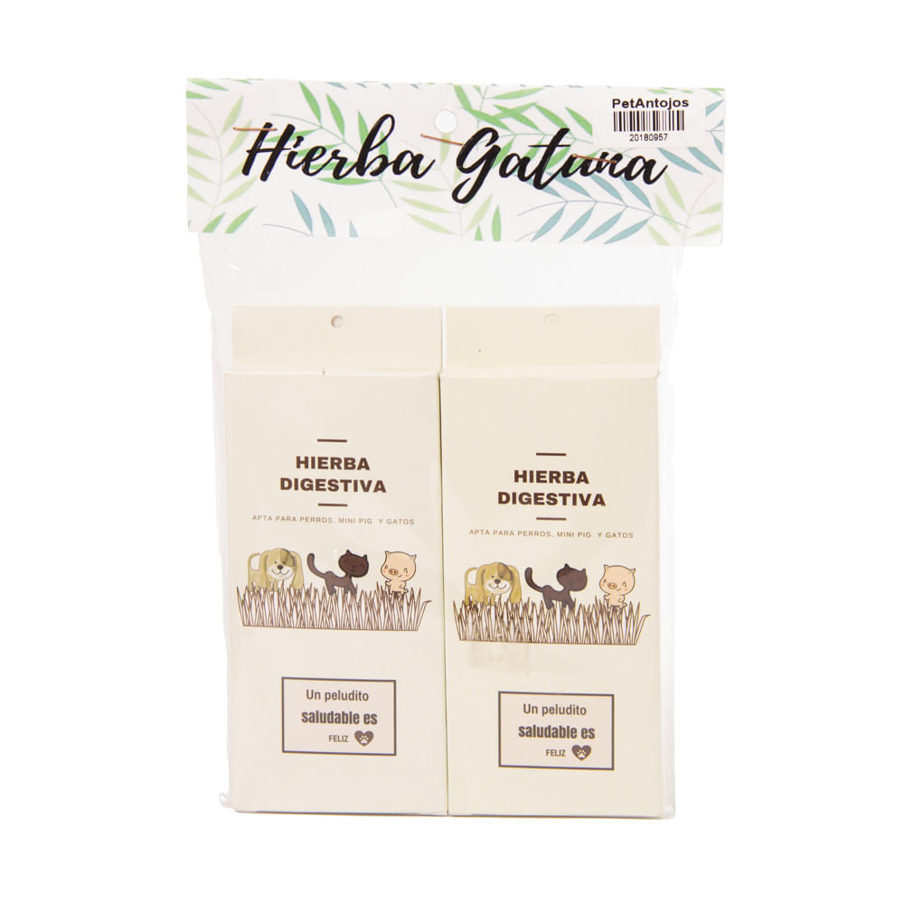 Kit 2 Cajas De Semillas Para Plantar Pet Antojos Único