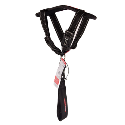 Arnés Chest Plate Negro Ezydog M