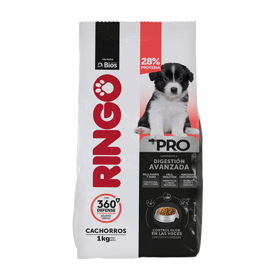 Ringo + Pro - Cachorros