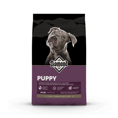 Diamond Puppy para cachorros