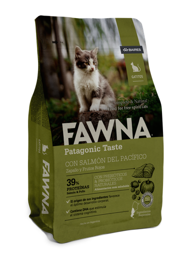 Fawna Salmón Gatos Kitten