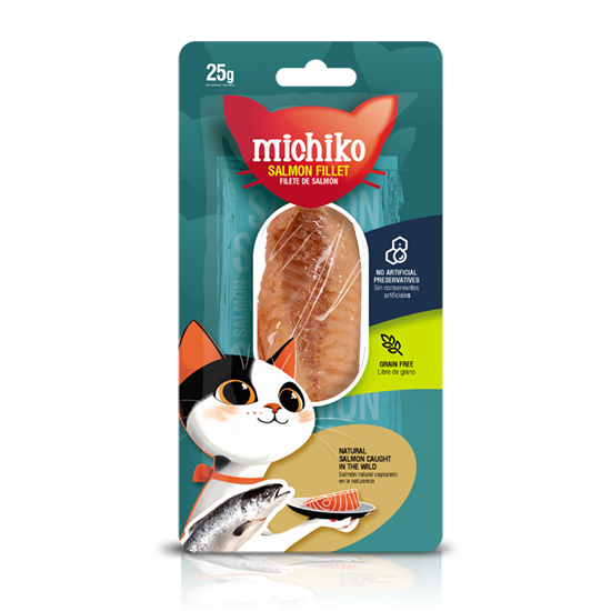 Snack Michiko Salmon Fillet